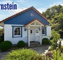 Ferienhaus Ostsee Ostern 28.3.-11.4. Last Minute Urlaub mit Hund - Dörphof