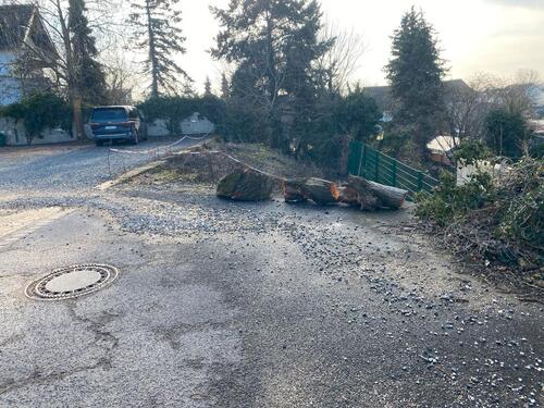 Foto - andere zur Miete in Kerpen