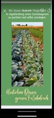 Foto - Grundstück in Agathenburg