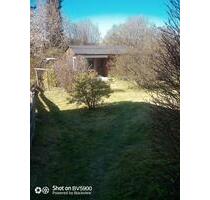 Kleingarten, Pachtgelände - 4.000,00&nbsp;EUR Kaltmiete, ca.&nbsp; 0,00&nbsp;m&sup2; in Thum (PLZ: 09419)