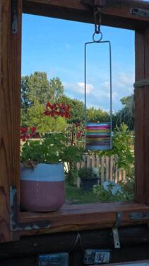 Foto - Einstellerplatz - gern Seniorpferd-