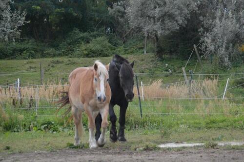 Foto - Grundst&uuml;ck zur Miete in Berlin