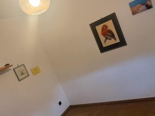 Foto - 