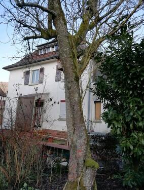 Foto - Einfamilienhaus zum Kaufen in Neckargemünd