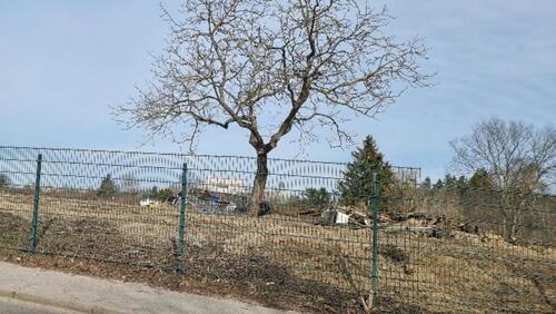 Foto - Grundst&uuml;ck in Berlin