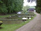 Foto - Forellenzucht (Fischzucht) mit Einfamilienhaus und Gaststätte