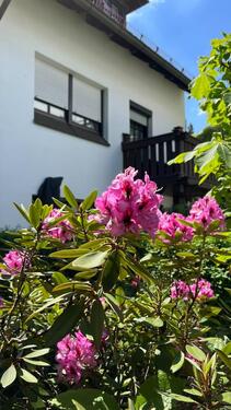 Foto - Wohnen am Rosengarten ruhig, elegant, zentral - Doppelhaushälfte