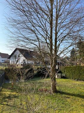 Foto - Erdgeschoßwohnung in Gessertshausen zur Miete