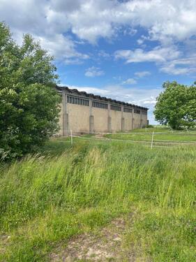 Foto - Vermietung Getreidehalle Lagerplatz in Großgörschen