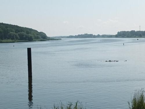 Foto - großzügige 3 Zimmerwohnung mit traumhaftem Blick über die Elbe
