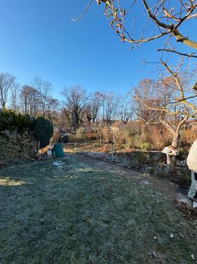 Foto - Kleingarten in Bad Düben abzugeben