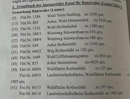 Foto - Grundst&uuml;ck in Ottweiler zur Miete