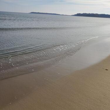 Foto - andere zur Miete in Halstenbek