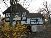 Foto - Einfamilienhaus in Langenbernsdorf zum Kaufen