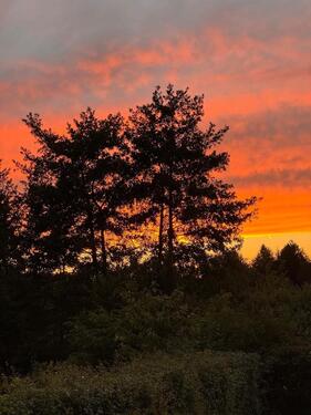 Foto - Einfamilienhaus in Saarbrücken
