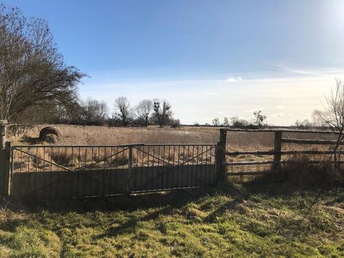 Foto - 5 Zimmer Einfamilienhaus in Ducherow