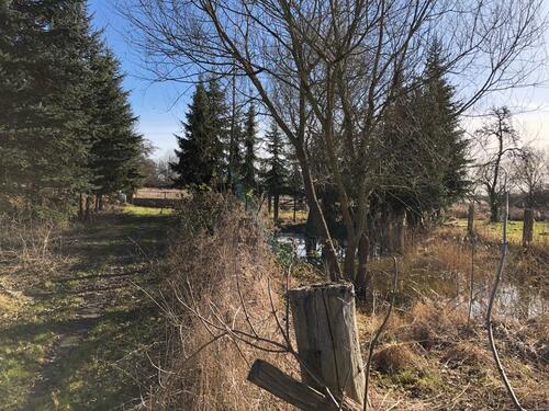Foto - Einfamilienhaus in Ducherow zum Kaufen