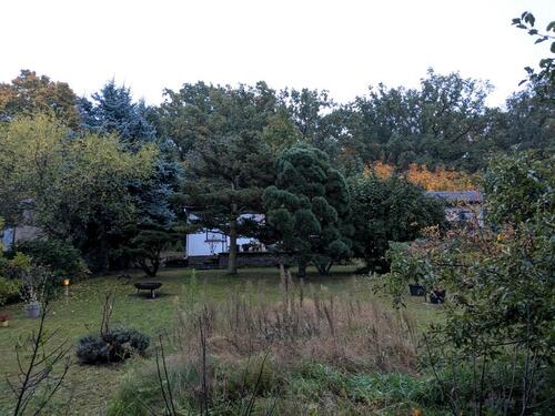Foto - Grundst&uuml;ck zur Miete in Radeburg