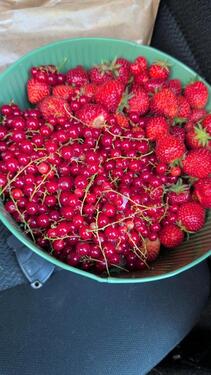 Foto - KleingartenSchrebergarten - 1.999,00&nbsp;EUR Kaltmiete, ca.&nbsp; 0,00&nbsp;m&sup2;