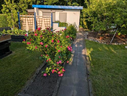 Foto - Grundst&uuml;ck zur Miete in Cuxhaven