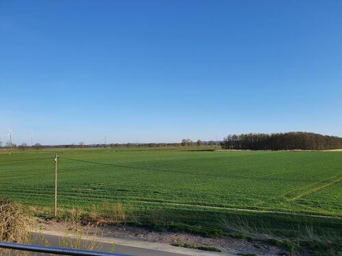 Foto - 