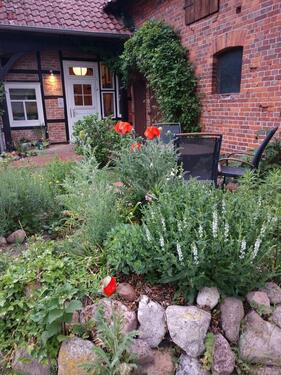 Foto - Etagenwohnung in Vordorf