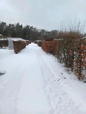 Foto - Grundst&uuml;ck zur Miete in Isernhagen