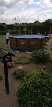 Foto - Schrebergarten Kleingarten im Kgv Immergrün