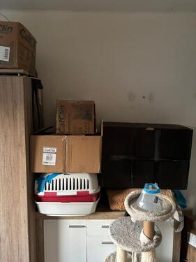 Foto - Etagenwohnung in Alsdorf zur Miete