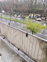 Foto - Etagenwohnung in Wuppertal zur Miete