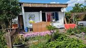 Foto - Eckgarten Lütten Klein Usedomer Anlage