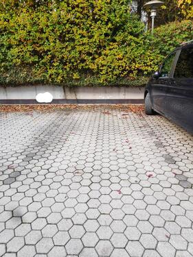 Foto - PKW Stellplatz Ammerseestraße nahe Klinikum Bayreuth