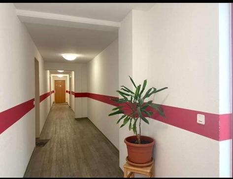 Foto - Etagenwohnung in Halberstadt zur Miete