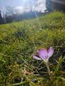 Foto - Grundstück in Lalendorf