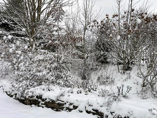 Foto - 3 Zimmer Einfamilienhaus zum Kaufen in Jossgrund
