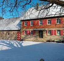 Für Pferde- und Naturliebhaber, Dreiseithof - Steinsfeld