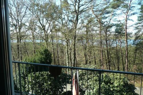 Foto - 5 Zimmer Reihenhaus in Geesthacht