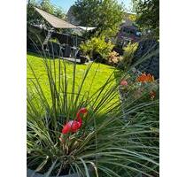 Teilmöbliertes lichtdurchflutetes Haus in zentraler Lage - Krefeld Dießem