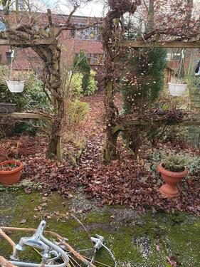 Foto - 4 Zimmer Etagenwohnung zur Miete in Hamburg