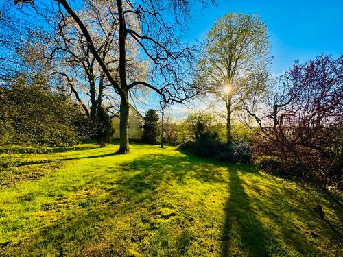 Foto - Einfamilienhaus zum Kaufen in Alflen