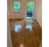 Renovierte 2 Zimmer Wohnung Ziegenhain Balkon Garten 53 qm - Schwalmstadt