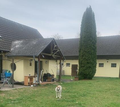 Foto - 5 Zimmer Einfamilienhaus in Petershagen/Eggersdorf