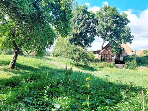 Foto - Bauernhaus, Landhaus in Hettstedt zum Kaufen