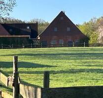 Kleine Wohung auf dem Land - 450,00 EUR Kaltmiete, ca. 55,00 m² in Petershagen (PLZ: 32469) Kleine Wohung auf dem Land - 450,00 EUR Kaltmiete, ca. 55,00 m² in Petershagen (PLZ: 32469)