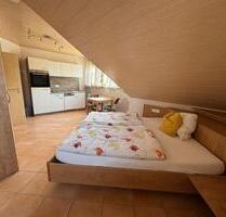 Möblierte 1‑Zimmer-Dachgeschosswohnung - Wallertheim