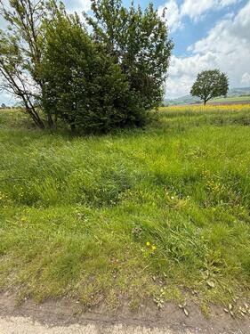 Foto - 42m2 Grundstück Lüerdissen - 500,00&nbsp;EUR Kaltmiete, ca.&nbsp; 0,00&nbsp;m&sup2;
