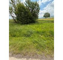42m2 Grundstück Lüerdissen - 500,00&nbsp;EUR Kaltmiete, ca.&nbsp; 0,00&nbsp;m&sup2; in Eschershausen (PLZ: 37632)