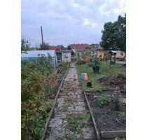 Pachtgarten abzugeben - 300,00 EUR Kaltmiete, ca.  0,00 m² in Wurzen (PLZ: 04808)