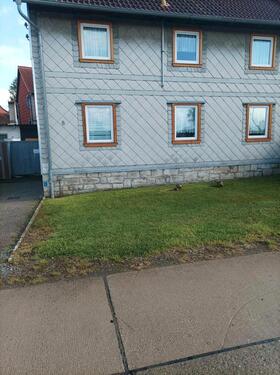 Foto - Gemütliches 6-Zimmer-Haus in Hessen