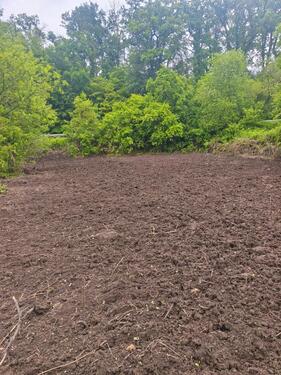 Foto - Weidefläche zu verpachten - 400,00&nbsp;EUR Kaltmiete, ca.&nbsp; 0,00&nbsp;m&sup2;